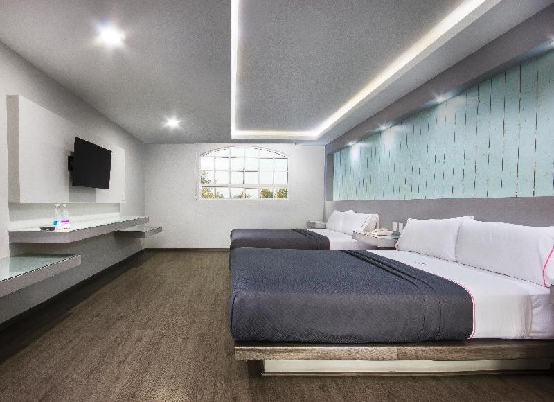 Hotel Mx Congreso Mexico City Bilik gambar